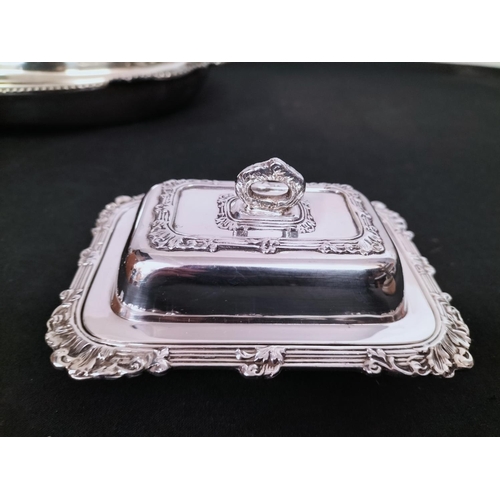 324 - Silver Plated Items (3) - Serviette Holder, Butter Dish and Lidded Tureen (9cm High, 22cm x 30cm). O... 