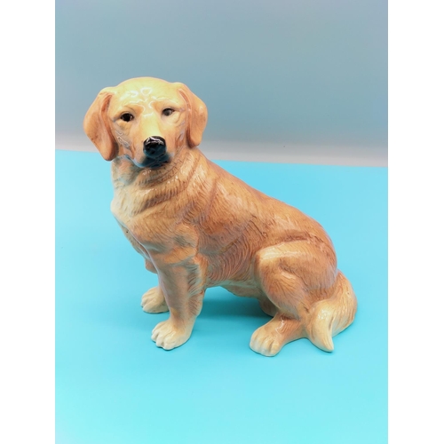 348 - Melba Ware Figure of a Seated Labrador. 23cm x 19cm.