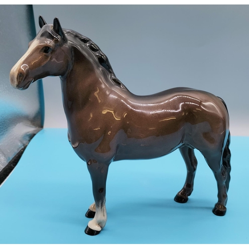 69 - Beswick Brown Gloss figure of a Welsh Cob. 20cm x 18.5cm.