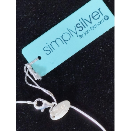 718 - 925 Simply Silver Necklace, New with Tags.