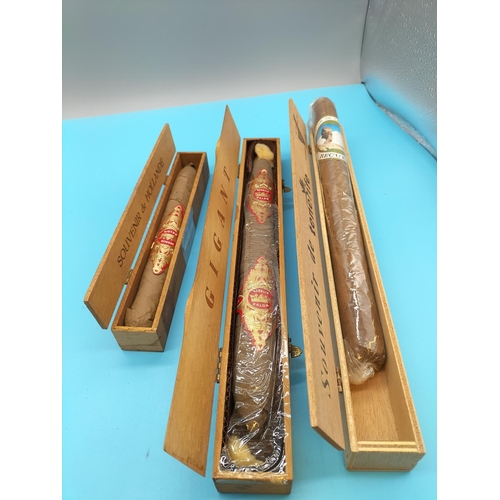 91 - Collection of Giant Cigars (3) Boxed.