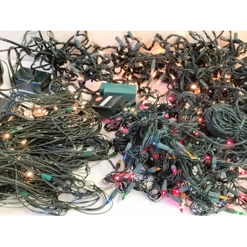 732 - 3 Sets of Christmas Lights to include Net Lights W/O.