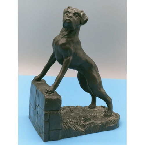 184 - Heredities Cold cast Bronze model of a boxer dog 18cm High.