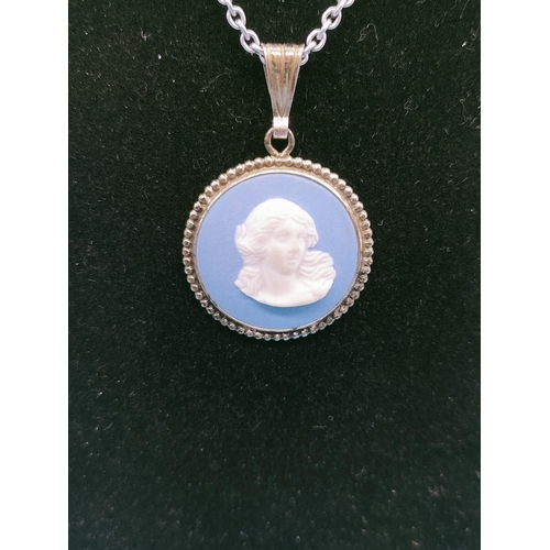 28 - Silver Wedgwood Jasper Necklace.