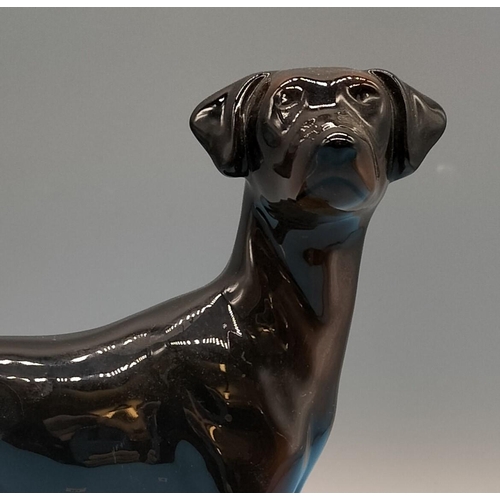 22 - Coopercraft Figure of a Doberman. 17cm x 19cm.