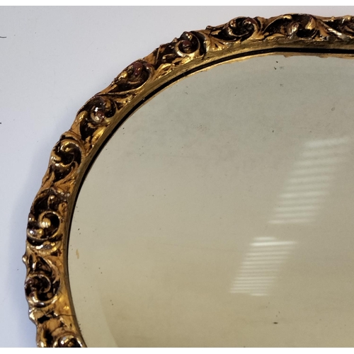 19 - Dome Top Oblong Mirror with Gold Gilt Edge. 87cm x 31cm. This Lot is Collection Only.