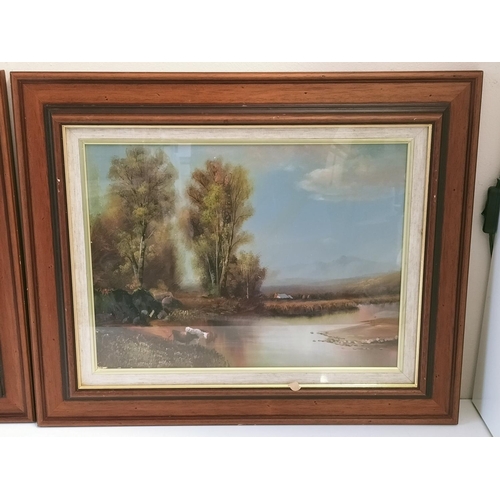 636 - 2 x Framed Oil Paintings of Cattle. 57 x 47cm.