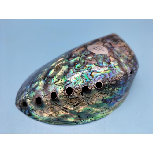 258 - New Zealand Paua Abalone Shell. 14cm x 9.5cm x 3cm.