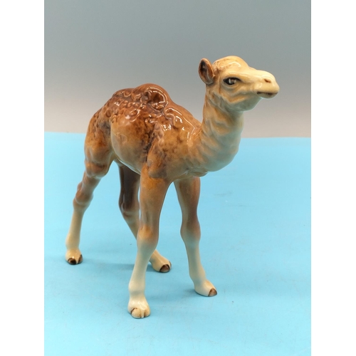 130 - Beswick Figure of a Camel Foal 1043. 13cm x 12cm.