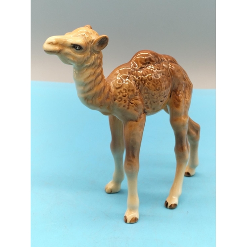 130 - Beswick Figure of a Camel Foal 1043. 13cm x 12cm.