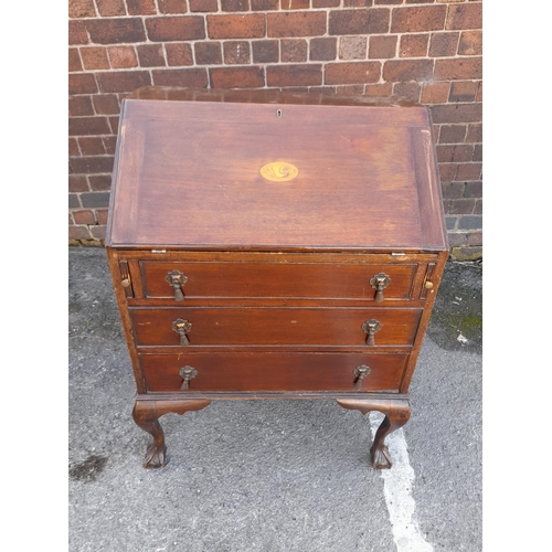 161 - Victorian 3 Drawer Bureau on Ball and Claw Feet. For Light Restoration. 92cm High, 66cm x 43cm. This... 