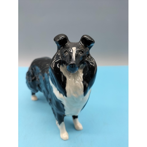 161 - Beswick Figure of a Black and White Collie Dog. 18cm x 13cm.