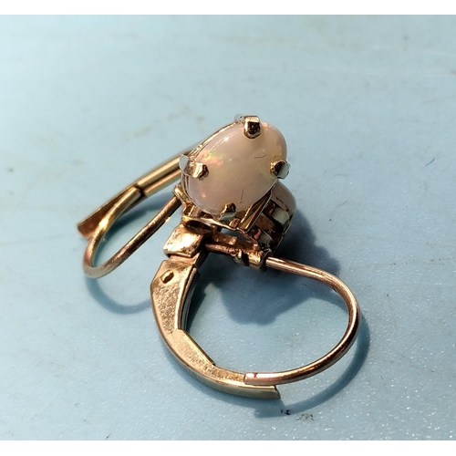 141 - 9ct Gold and Opal Earrings.