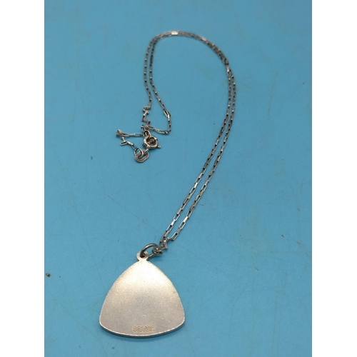 253 - 925 Silver St Christopher Pendant and 20