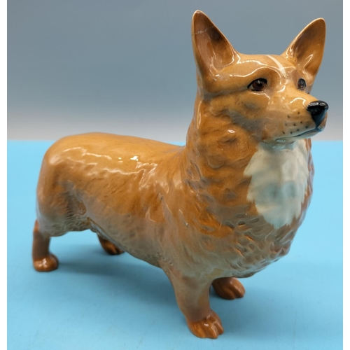 230 - Beswick Figure of a Corgi. 18cm x 14cm Ear A/F.