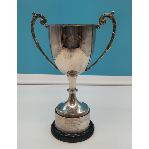 698 - Silver Plated 28cm Trophy.