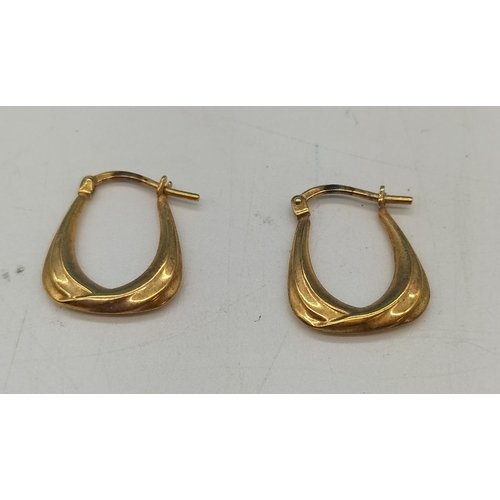 246 - Pair of 9ct Gold Earrings 0.8 Grams