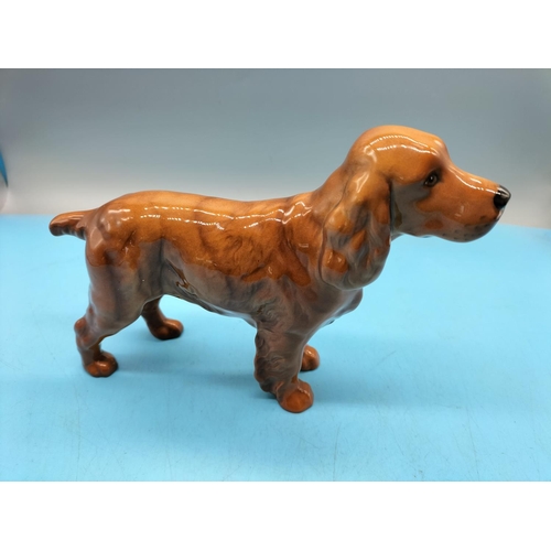 271 - Beswick Figure of a Cocker Spaniel 'Horseshoe Primula'. 14.5cm High x 21cm.