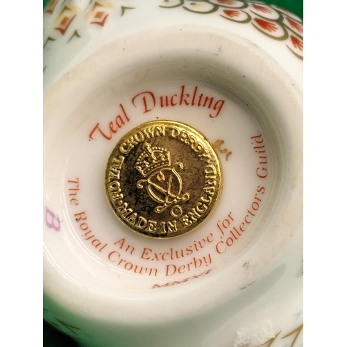 504 - Royal Crown Derby Paperweight 'Teal Duckling'. With Gold Stopper. 6cm Tall.