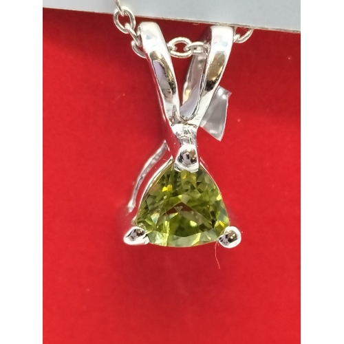 753 - Silver 925 Necklace and 925 Changbal Peridot Pendant.