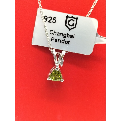 753 - Silver 925 Necklace and 925 Changbal Peridot Pendant.