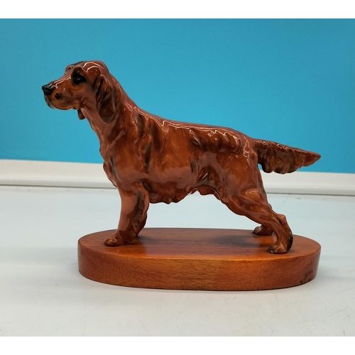 103 - Royal Doulton Figure of an Irish Setter on Plinth,. 17cm High x 21cm.