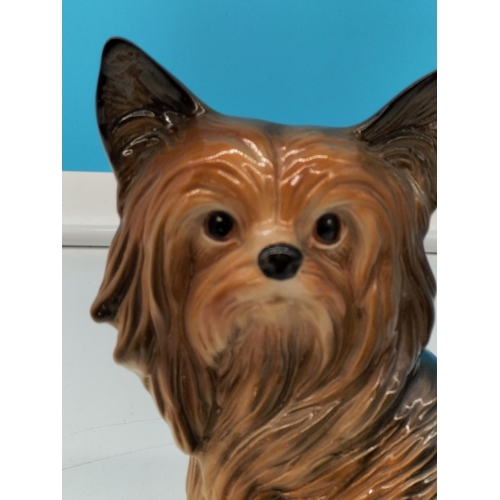 150 - Melba Ware 20cm Figure of a Yorkshire Terrier.