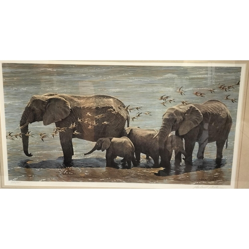 15A - Framed and Glazed 'Elephant Herd and Sandgrouse' Limited Edition 245/950 Print by Robert Bateman. 61... 