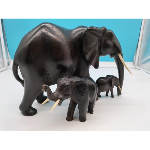 37 - Iron/Dark Wood Carved Elephants. Largest being 31cm x 21cm.