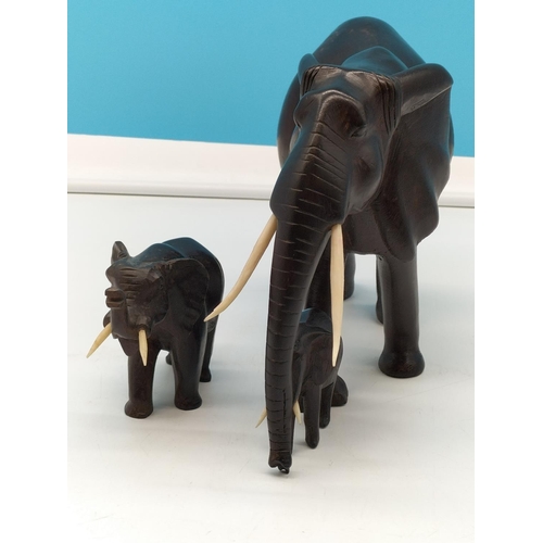 37 - Iron/Dark Wood Carved Elephants. Largest being 31cm x 21cm.