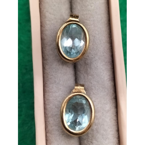 773 - 9ct Gold Topaz Earrings.