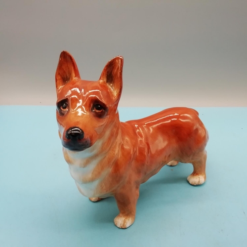 78 - Alton China Model of a Welsh Corgi. 16cm High x 18cm.