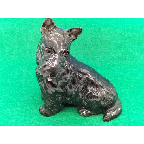 93 - Rare Paragon Scottie Dog 13cm Figure.