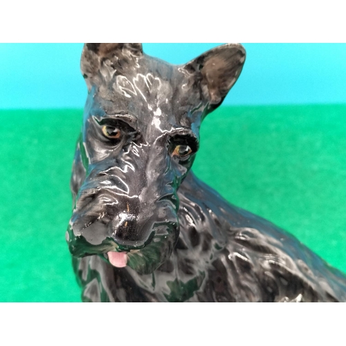 93 - Rare Paragon Scottie Dog 13cm Figure.