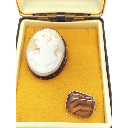 704 - Vintage Brooches (2) - Cameo and Polished Stone.