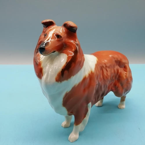 66 - Beswick Figure of a Collie Dog 'Lochinvar of Lady Park' 14cm High x 19cm.