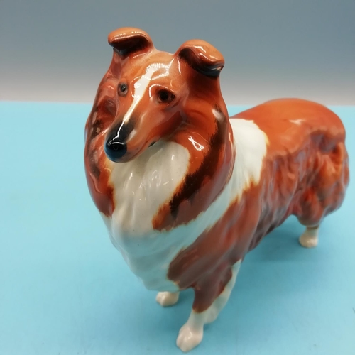 66 - Beswick Figure of a Collie Dog 'Lochinvar of Lady Park' 14cm High x 19cm.