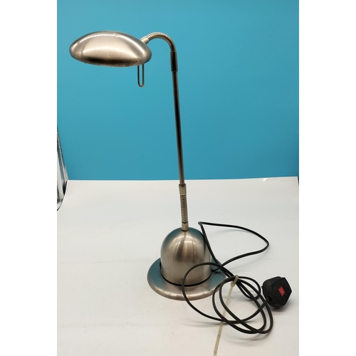 419 - Flexi Neck Desk Lamp. W/O.