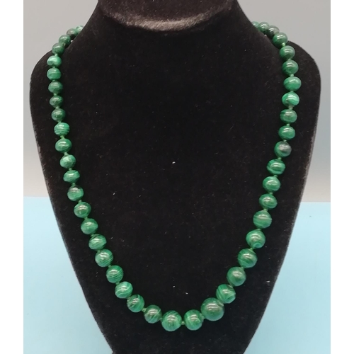 55 - Malacite Necklace. 25cm Long.