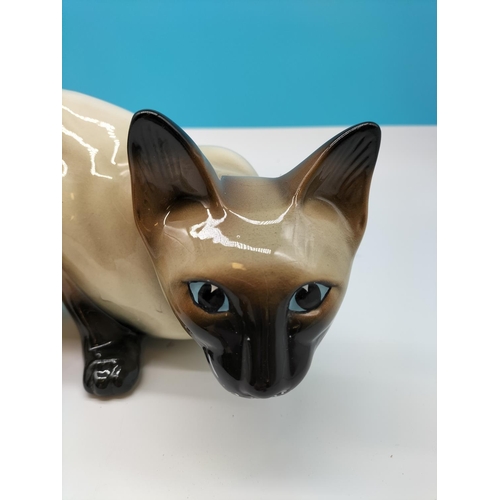 44 - Coopercraft? Figure of a Siamese Cat. 34cm x 16cm.