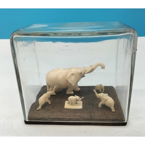 279 - Glass Cased White Carved Elephant Collection. 15cm High, 18cm x 12cm.