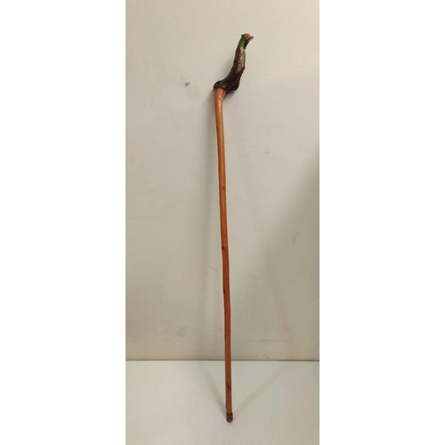 341 - Pheasant Head Walking Stick. 120cm Long.