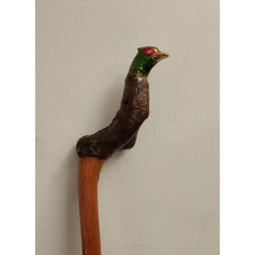 341 - Pheasant Head Walking Stick. 120cm Long.