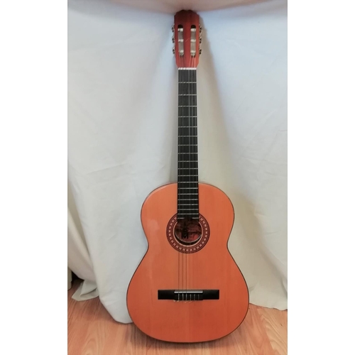 349 - Espania Guitar with Cover.