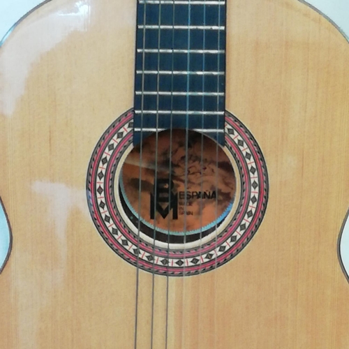 349 - Espania Guitar with Cover.