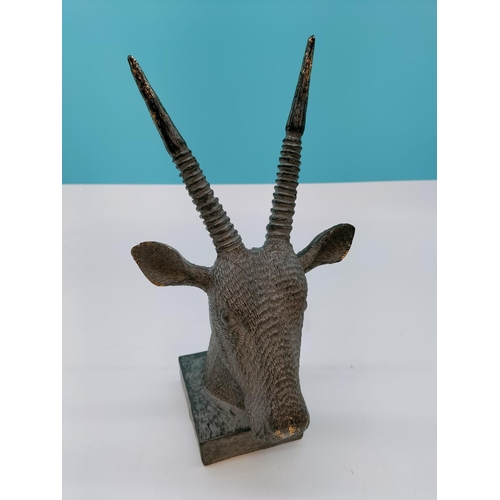 726 - Resin 28cm Antelope's Head.