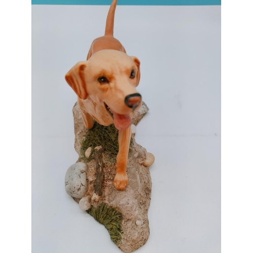 83 - Royal Doulton Figure of a Golden Labrador on Plinth. 15cm High x 30cm.