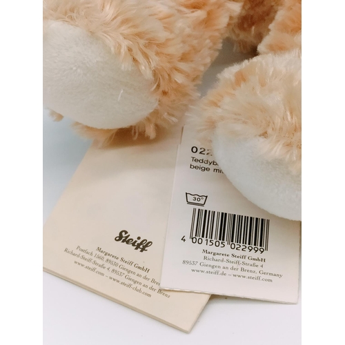 175A - Steiff 30cm Teddy Bear 'Luise' with Original Tags.