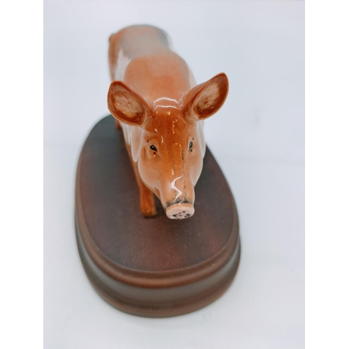 91 - Royal Doulton Figure of a Tamworth Pig on Plinth. 11cm High x 18cm.