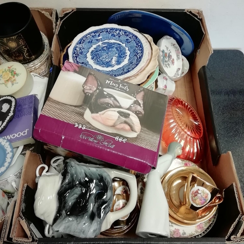 595 - 2 Boxes of Ceramics and Glass Ware to include Wedgwood, Mug Tails Dog Mug, Portmeirion, Chintz Trios... 